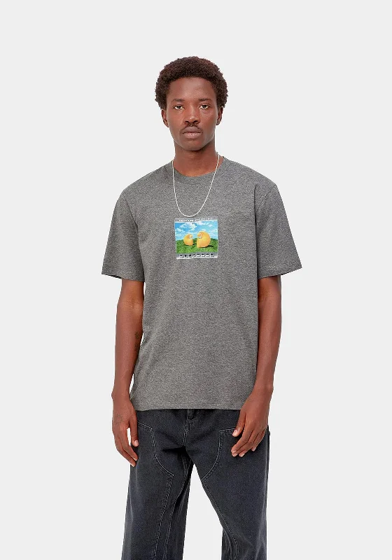 Value Deals Carhartt Sound Experience T-Shirt, Grey